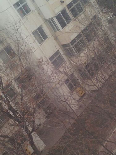 子路博物馆旅行图片 3