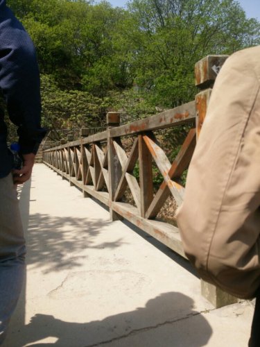 桃花山旅行图片 3