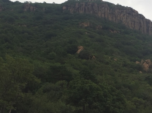 兴海公园旅行图片 1