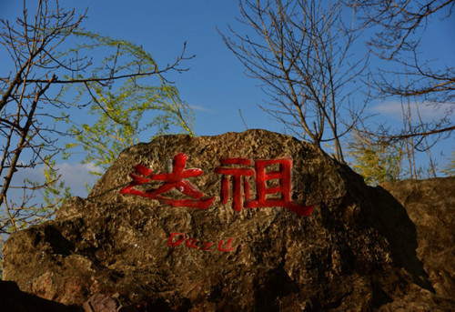 达祖码头旅行图片 1