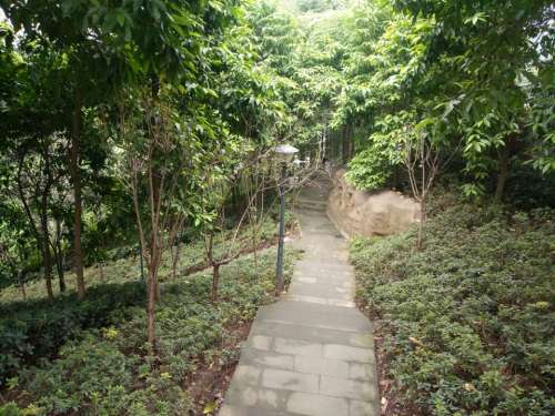 绿壁公园旅行图片 3