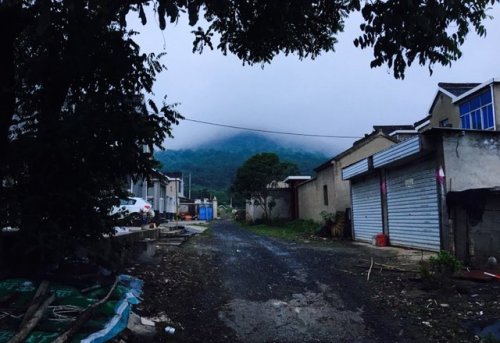 南京灵岩山市级森林公园旅行图片 1
