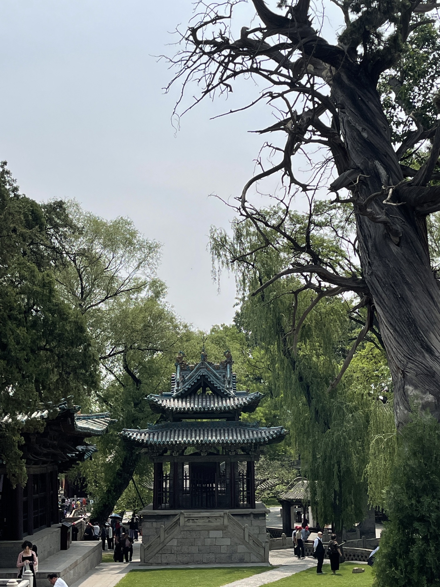 晋祠现场照片 8