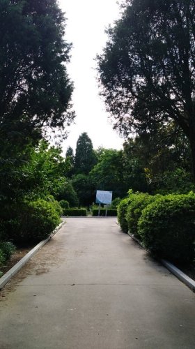 盐城沿海森林公园旅行图片 2