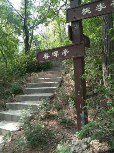 幽谷山体公园旅行图片 3