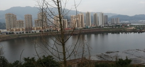 赵家市民广场旅行图片 1