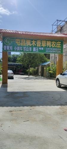 屯昌枫木香草鸭农家(阿才海棠湾林旺店)