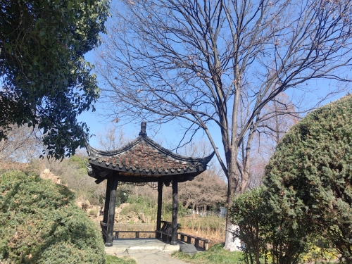 儿童公园-观瀑亭