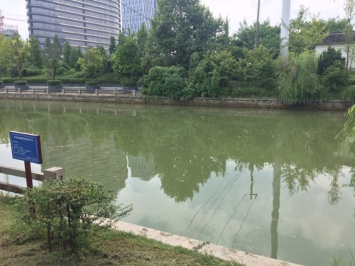 王道公园(泰美)旅行图片 1