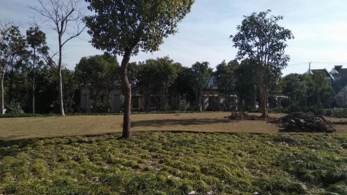 建德花园小公园旅行图片 2