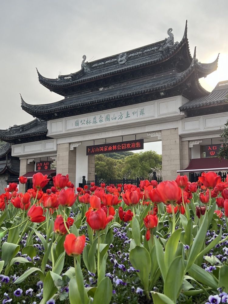 苏州上方山国家森林公园景点图片