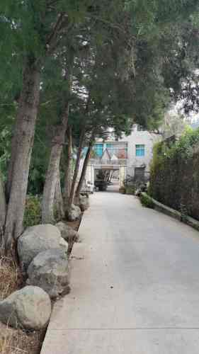 会川绿陶山庄旅行图片 3