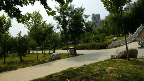 西湖公园旅行图片 1