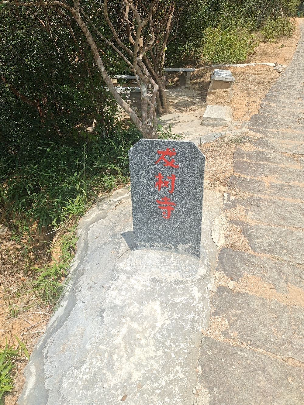 龙树寺实景照片