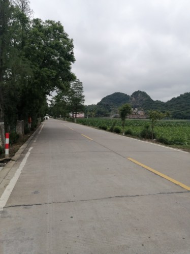 乐昌九福兰花公园旅行图片 1