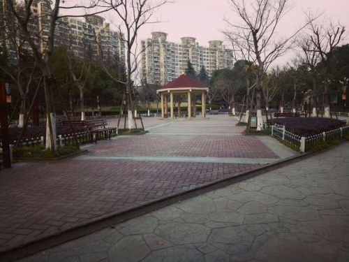金沙公园旅行图片 2
