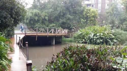 南河公园旅行图片 2
