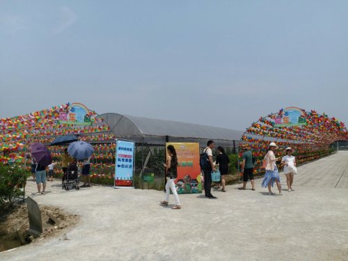 大稳村公园旅行图片 3