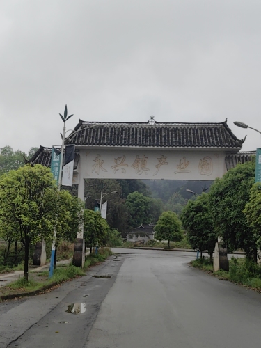永兴镇产业园区实景图（2）