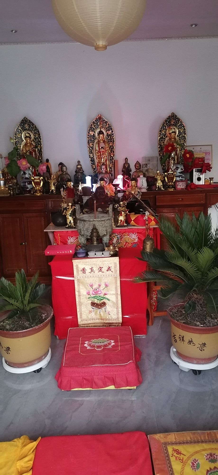 苇菠集庙会实景照片