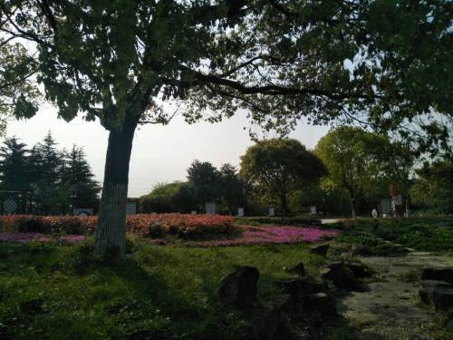 澄园旅行图片 2