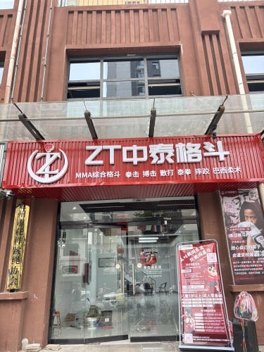 ZT中泰格斗
