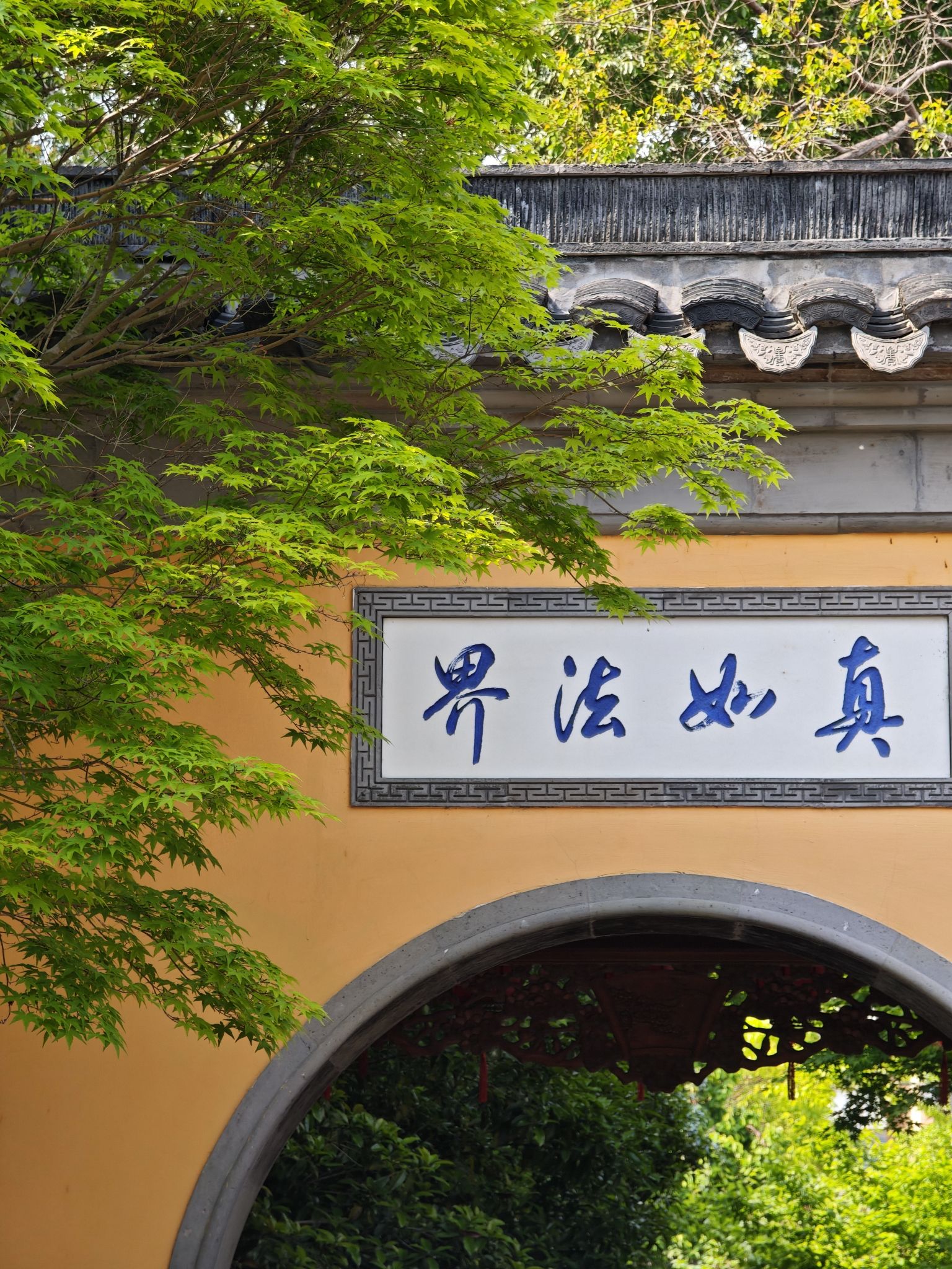 凤城河风景区-文昌法治游园