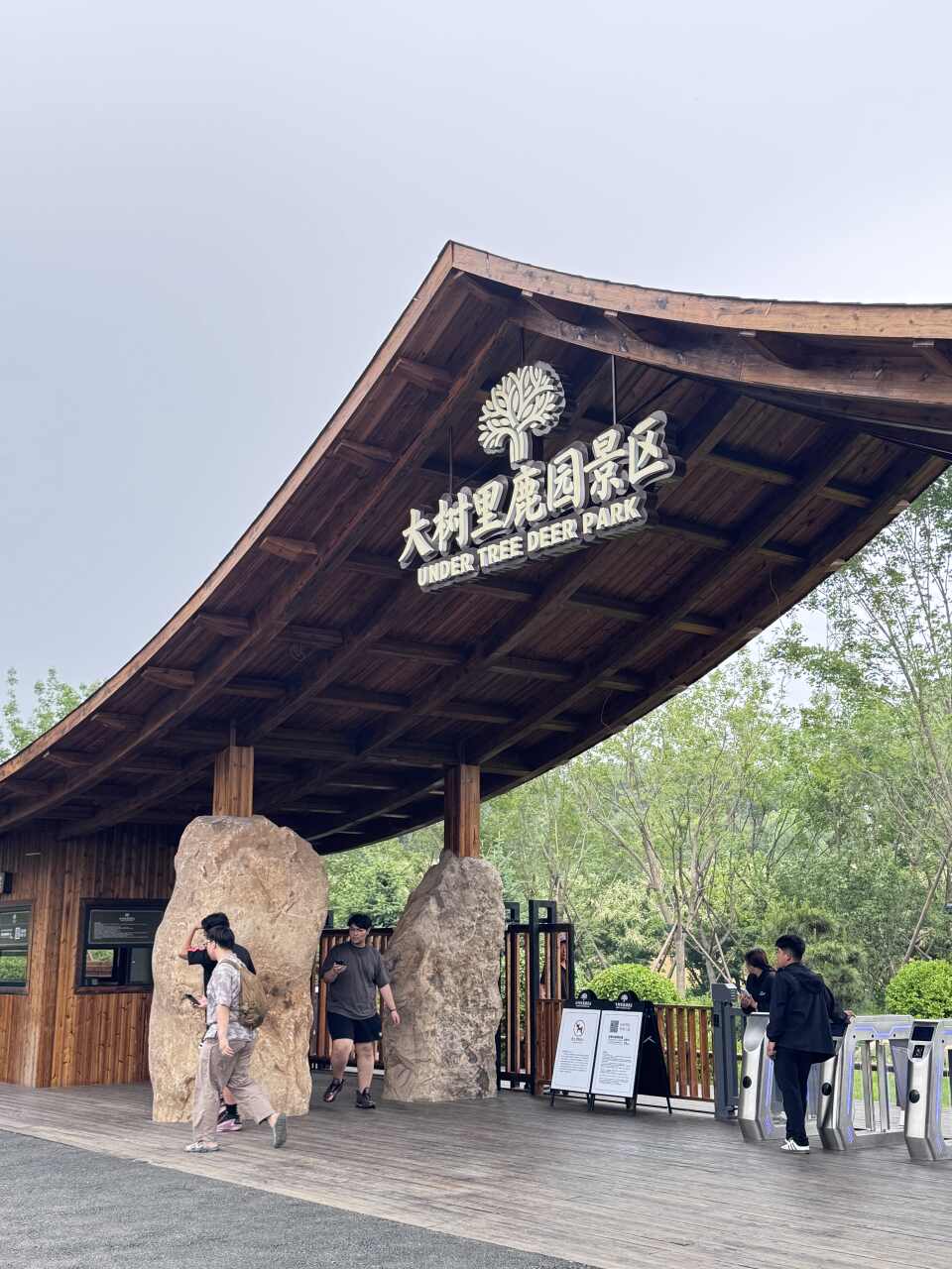 大树里鹿园景区
