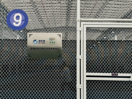 世博桥亚匹联匹克球赛事中心