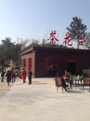 茶花谷旅行图片 2