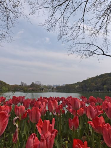 神山公园-芙蓉湖