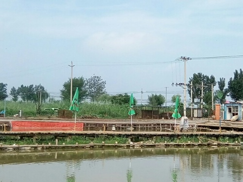 东张务湿地旅行图片 3
