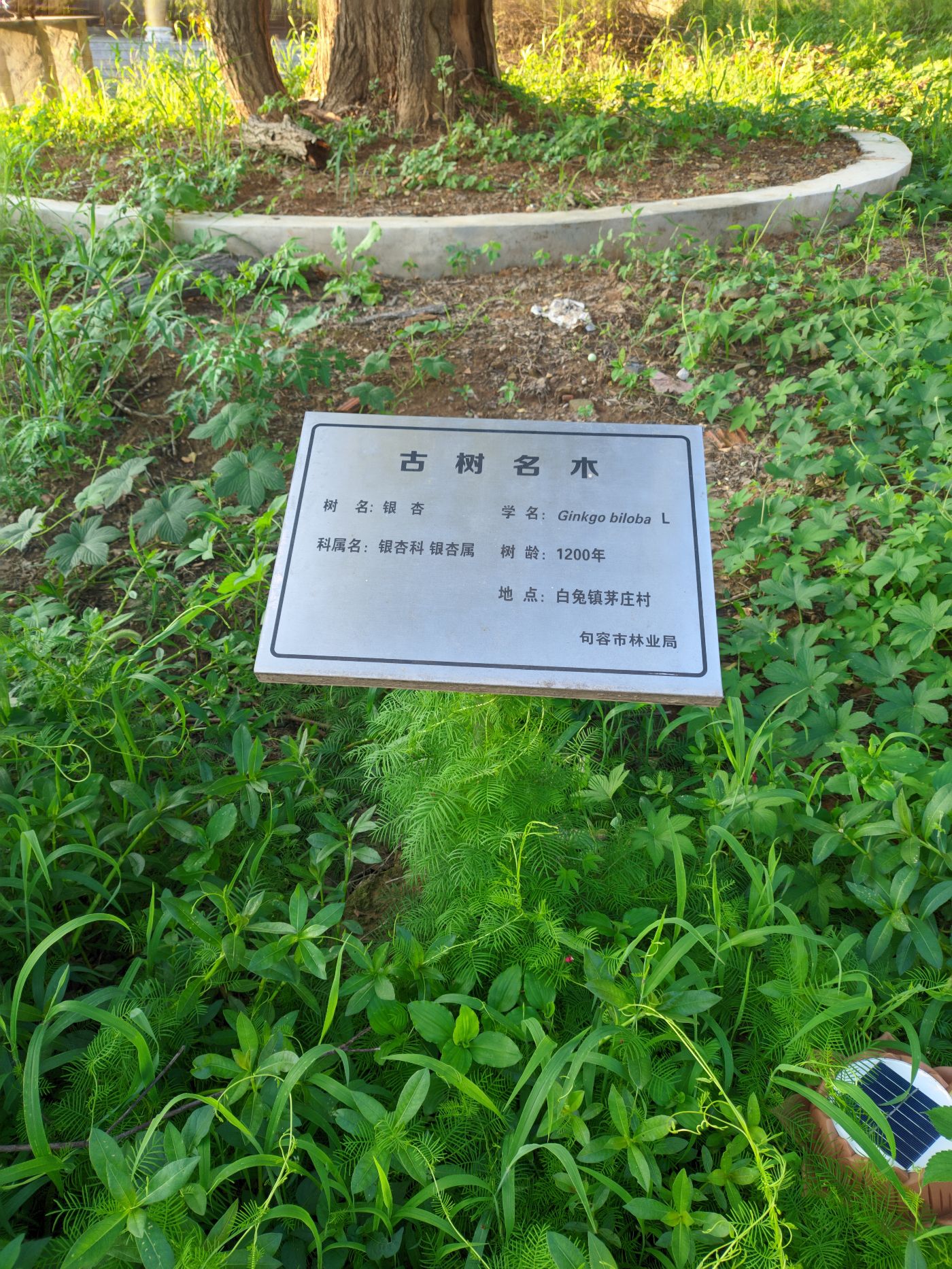 茅庄庙实景照片
