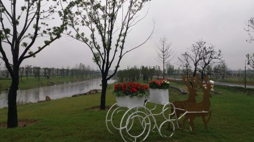 颍州区阜阳花博园旅行图片 1