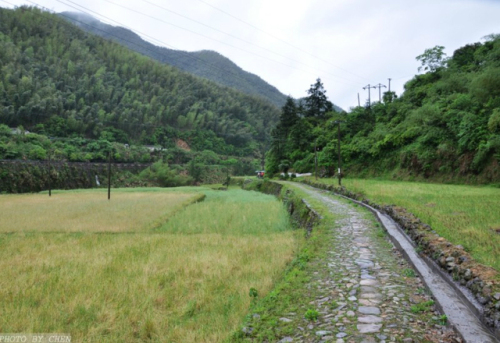 仙霞古道旅行图片 1