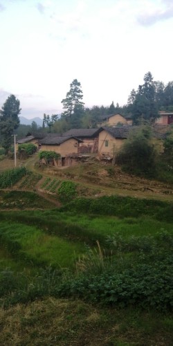 杨坪河坎生态区旅行图片 1