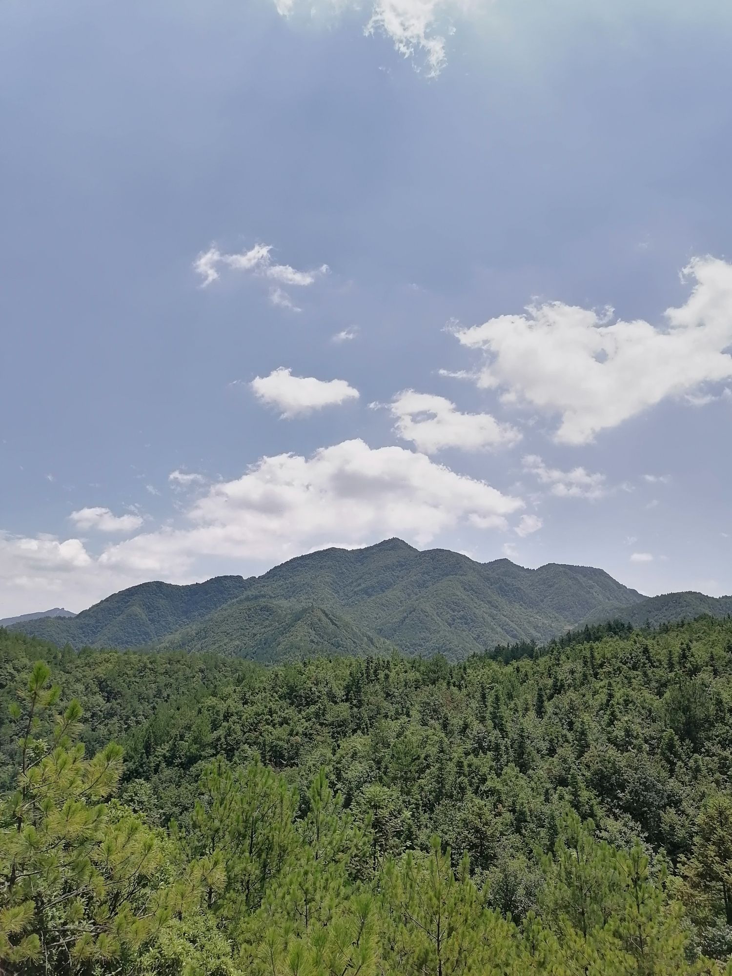 伍仙庙实景照片