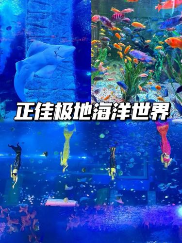 正佳极地海洋世界现场照片 5