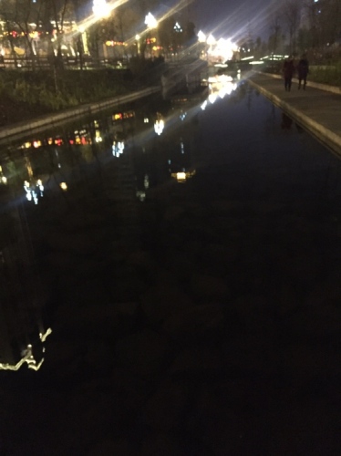 中央水体公园旅行图片 3