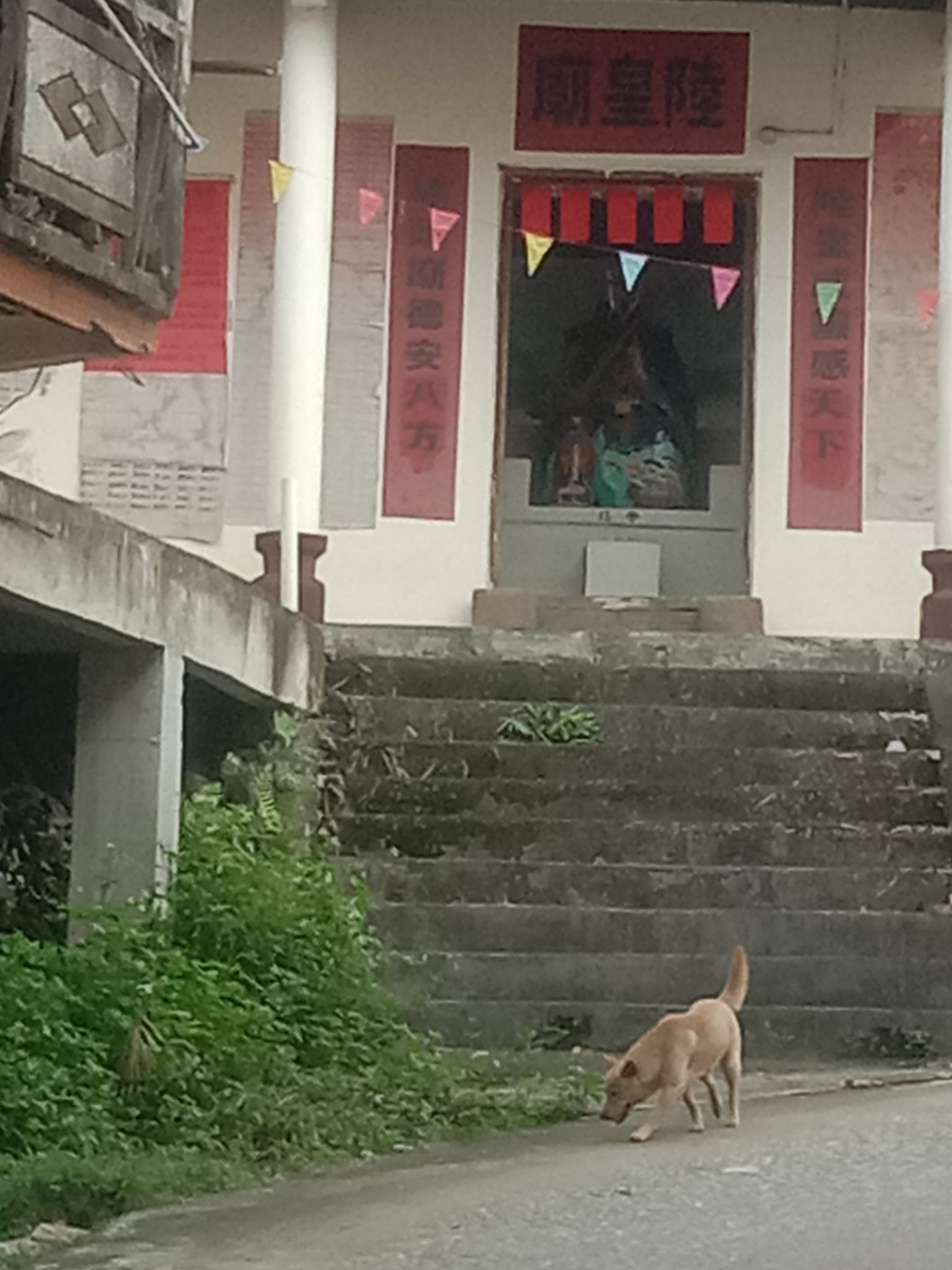 陆皇庙实景照片