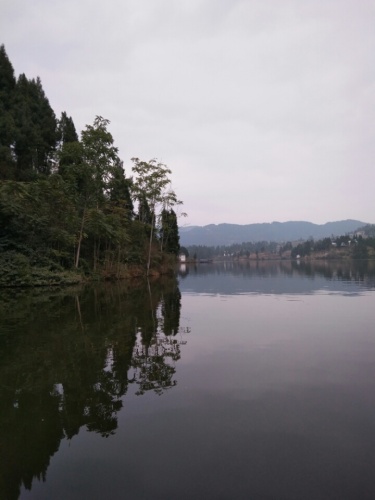 望龙湖森林公园旅行图片 2