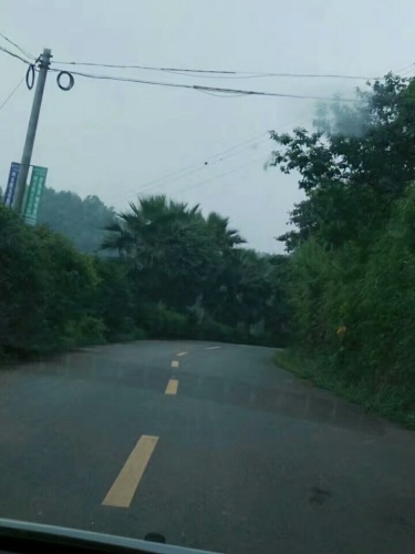 宜宾万花谷景区旅行图片 1