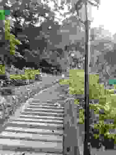 屏峰山公园旅行图片 2