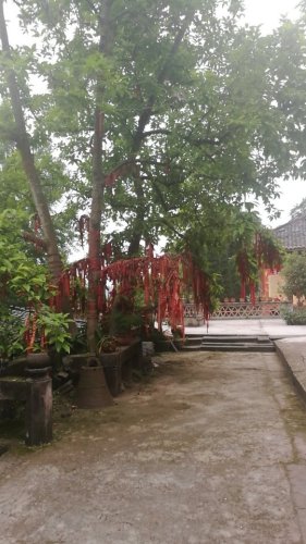 金刚洞风景区旅行图片 3