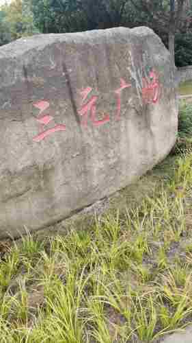 三元广场旅行图片 1