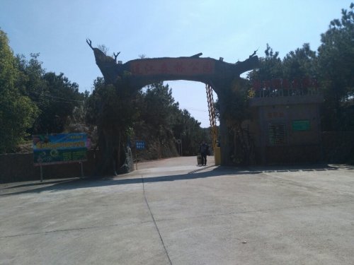 连江森林公园旅行图片 2
