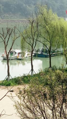 滨江公园旅行图片 1