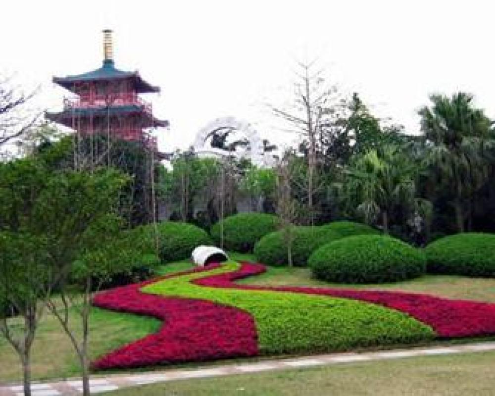 阳朔公园景点图片