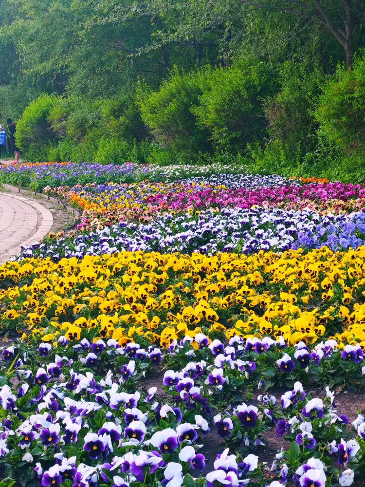 长春市百花园景点图片