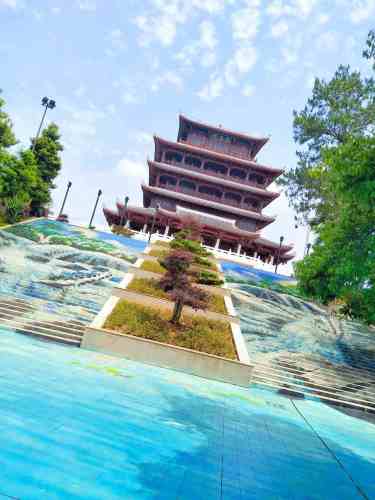 观静山植物公园旅行图片 2